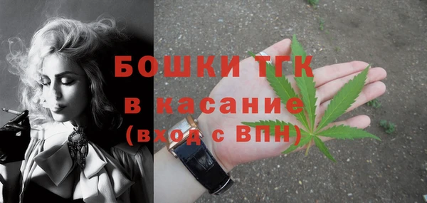 молекула духа Магас