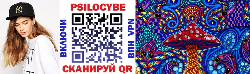 блэк спрут ссылки  Владикавказ  Галлюциногенные грибы Magic Shrooms 